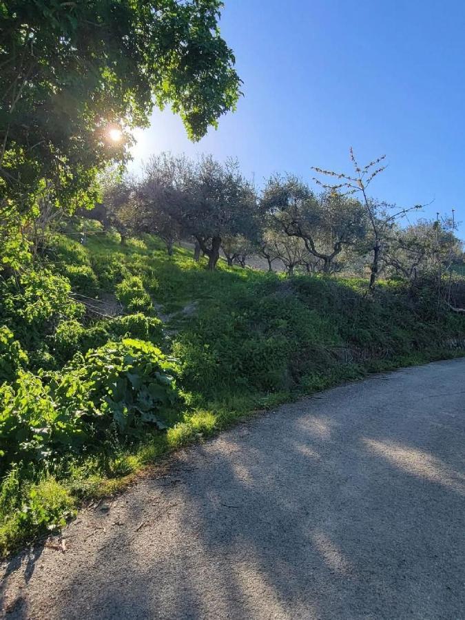 Ancient Stone 'Casa Rosa'- Sea And Mountain View Tranquil Borgo Vila Tavenna Exterior foto